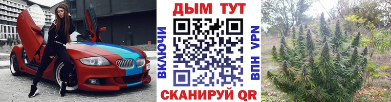 Метадон Зеленодольск
