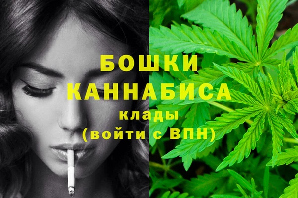 стафф Елабуга